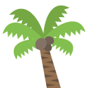 palm tree