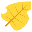 fallen leaf