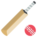 cricket bat and ball