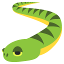 snake