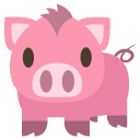 pig