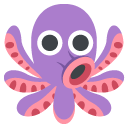 octopus