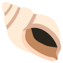 spiral shell