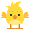 front-facing baby chick