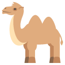 bactrian camel