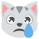 crying cat face